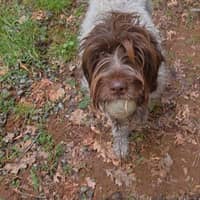 Sitter Profile Image: Jillian H.