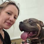 Sitter Profile Image: Sarah B.