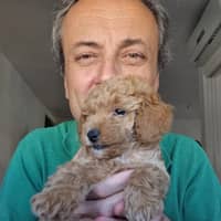 Foto del cuidador: Roman C.