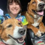 Sitter Profile Image: Kylene H.