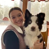 Sitter Profile Image: Alaina C.