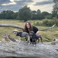 Sitter Profile Image: Hannah L.