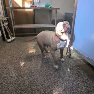 Sitter Profile Image: Christina S.