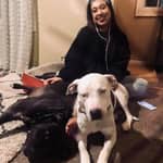 Sitter Profile Image: KellyAna O.