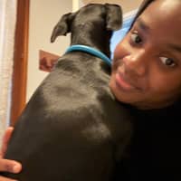 Photo de profil du pet sitter : Laurie Dorothée M.