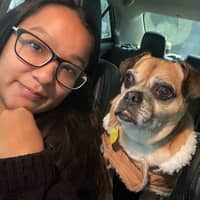 Sitter Profile Image: Liency B.