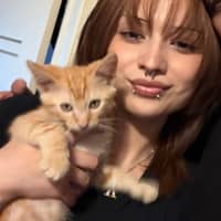 Sitter Profile Image: Korinna C.