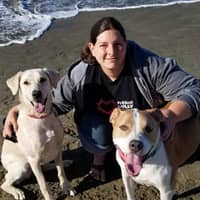 Sitter Profile Image: Megan Z.