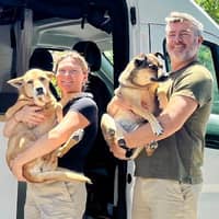 Sitter Profile Image: Brett A.