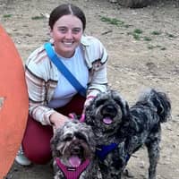 Sitter Profile Image: Sarah Q.