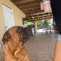 Sitter Profile Image: Blanca C.