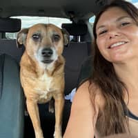 Sitter Profile Image: Amanda C.