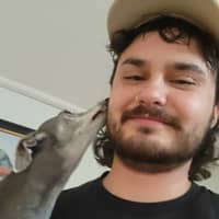 Profilbilde av hundepasser: Kieran T.