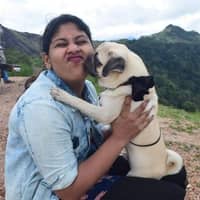 Sitter Profile Image: namitha b.