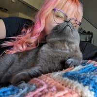 Sitter Profile Image: Mersadies V.