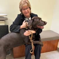 Sitter Profile Image: Christine L.