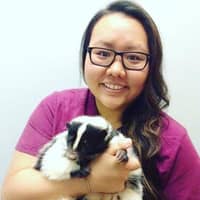 Sitter Profile Image: Chelsey K.