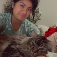 Sitter Profile Image: Tamanna H.