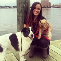 Sitter Profile Image: Sasa J.