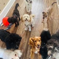 Sitter Profile Image: Arriyanna J.