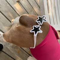 Sitter Profile Image: Melissa E.