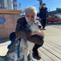 Sitter Profile Image: Theo V.