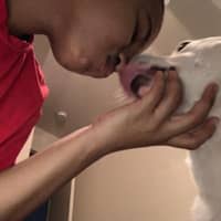 Sitter Profile Image: Careyah B.