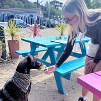 Sitter Profile Image: Megan N.