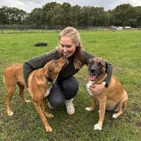 Sitter Profile Image: Hannah H.