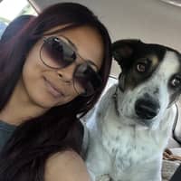 Sitter Profile Image: Kynssie M.