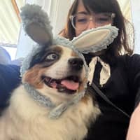 Sitter Profile Image: Kirsten Q.