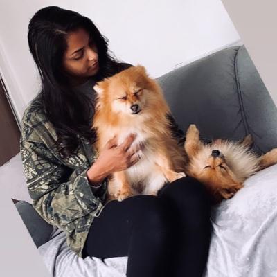 dog day care didsbury