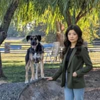 Sitter Profile Image: Lin L.