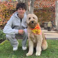 Sitter Profile Image: Alexander O.