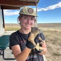 Sitter Profile Image: Bailey S.