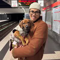 Sitterprofilbild: Tuan N.