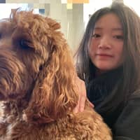 Sitter Profile Image: Yifan S.