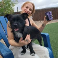 Sitter Profile Image: Renee B.