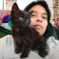 Sitter Profile Image: Jeanne A.