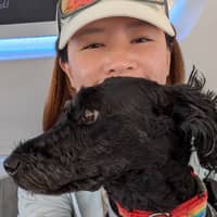 Sitter Profile Image: Shuk Han W.