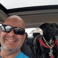 Sitter Profile Image: Stephen S.