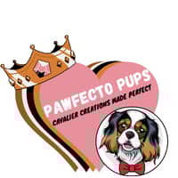 Sitter Profile Image: Bethany P.