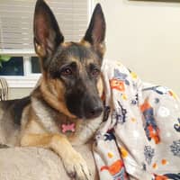 Sitter Profile Image: Becky E.