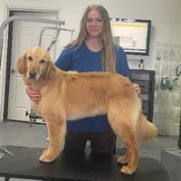 Sitter Profile Image: Vanessa G.