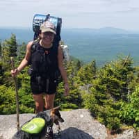 Sitter Profile Image: Jo G.