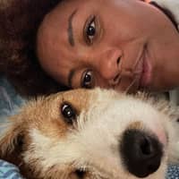 Immagine del profilo del sitter: Yiliam D.