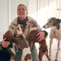 Sitter Profile Image: loujeanne c.