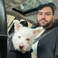 Sitter Profile Image: Dan I.