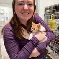 Sitter Profile Image: Alanah Z.