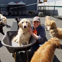 Sitter Profile Image: Anna S.